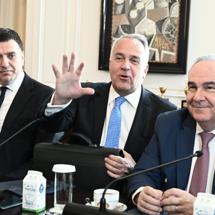 Ομόφυλοι: Ο Βορίδης θέτει θέμα για τη συνταγματικότητα - Δείτε το επίμαχο άρθρο
