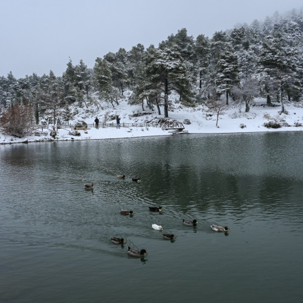 Πίνακας ζωγραφικής η λίμνη Μπελέτσι - Εντυπωσιακές εικόνες από το λευκό τοπίο