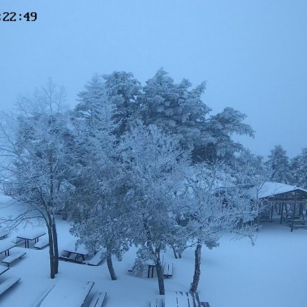 Χιόνια στην Αττική:  Στα λευκά η Πάρνηθα -Πού αλλού το έστρωσε σε Στερεά, Εύβοια