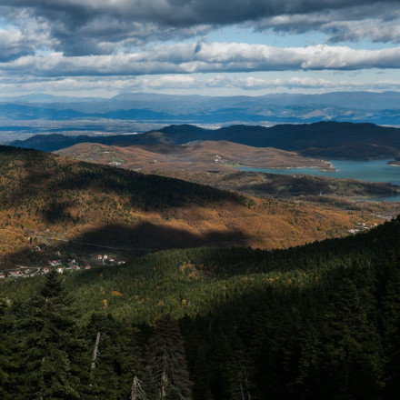Ενισχύεται με 281 οχήματα η Δασική Υπηρεσία και ο ΟΦΥΠΕΚΑ