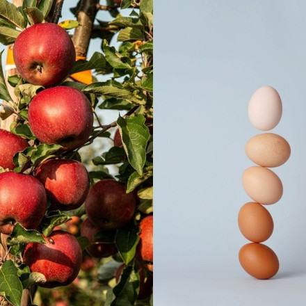 Μήλο ή αυγό; Ποιο κρατάει πραγματικά μακριά τον γιατρό;