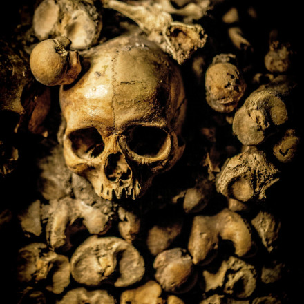 Τρομακτική ανακάλυψη από 13χρονο στις ΗΠΑ: Βρήκε ανθρώπινο κρανίο σε λίμνη