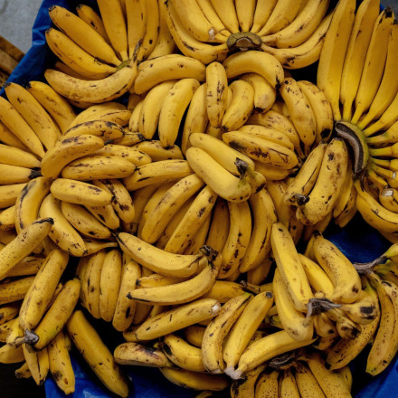 Πειραιάς: Κοκαΐνη αξίας 2,8 εκατομμυρίων ευρώ βρέθηκε σε κιβώτιο με... μπανάνες