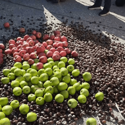 Agrotica: Εξαγριωμένοι οι αγρότες - Ρίχνουν κάστανα και μήλα έξω από τη ΔΕΘ