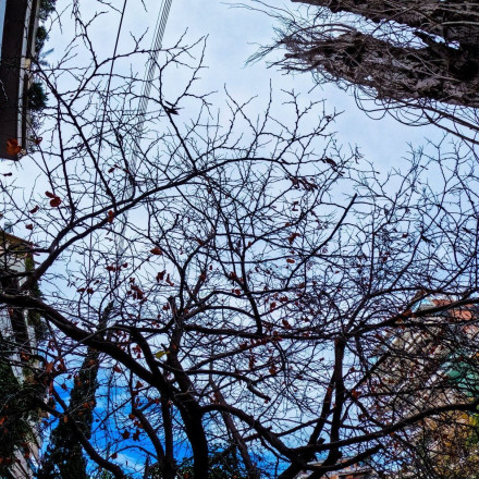 Με ήλιο και βροχή