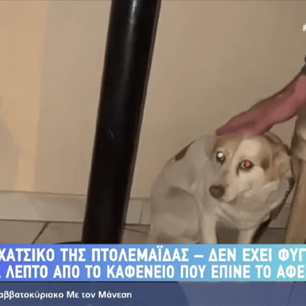 Το Χάτσικο της Πτολεμαΐδας: Κάθε μέρα στο καφενείο που πήγαινε το αφεντικό της