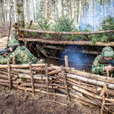 Σαρωτικές αλλαγές στις Ένοπλες Δυνάμεις - Ανακοινώσεις Δένδια στη Βουλή