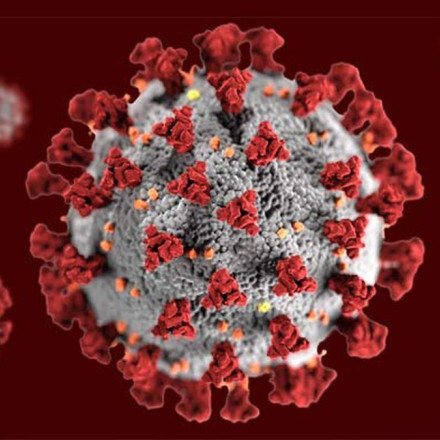 Κορονοϊός: Εγκρίθηκε στην Ιαπωνία, το πρώτο χάπι που επιταχύνει την ανάρρωση