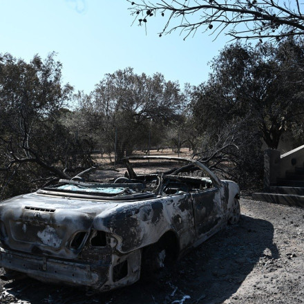 Φωτιές: Στα τέλη του Ιουλίου θα ανοίξει η πλατφόρμα για τη χορήγηση της πρώτης αρωγής στους πυρόπληκτους - Ολοκληρώνονται οι αυτοψίες και οι καταγραφές