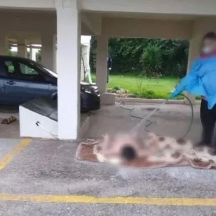 Ωρωπός: «Παρουσία του δήμου και της ΕΛ.ΑΣ. κατάβρεξαν με λάστιχο την ηλικιωμένη»