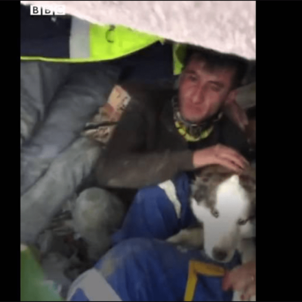 Τουρκία: Διασώστες ανασύρουν ζωντανό σκύλο 23 μέρες μετά τον σεισμό [vid]