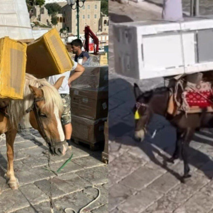 Ύδρα: Γαϊδούρια κουβαλούν ολόκληρα ψυγεία - Η ανάρτηση της Εριέττας Κούρκουλου [vid+pics]