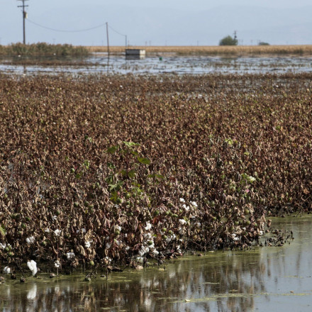 Μόνο όσοι υπέστησαν καταστροφές από «Ντάνιελ» και «Ελίας» θα αποζημιωθούν