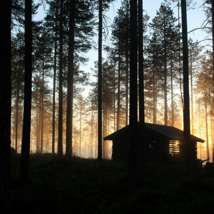 Η νέα εγκύκλιος του Κανονισμού Πυροπροστασίας Ακινήτων σε δάση - Τι προβλέπει