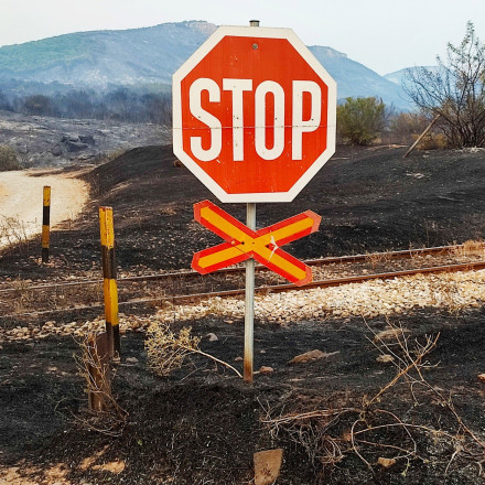Κακοκαιρία: Διακοπή κυκλοφορίας στην παραλιακή οδό Καλάμου-Ωρωπού