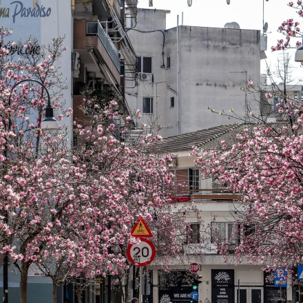 Καιρός: Με λασποβροχή και αφρικανική σκόνη η Δευτέρα του Πάσχα - Ανεβαίνει η θερμοκρασία