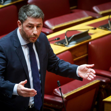 ΣτΕ: Να ενημερωθεί ο Ανδρουλάκης για τους λόγους παρακολούθησης του