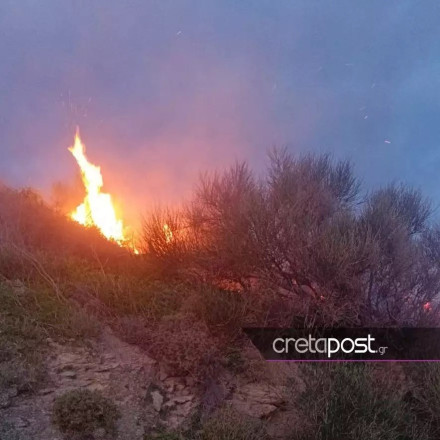 Σητεία: Φωτιά στην περιοχή Σκοπή - Ισχυροί άνεμοι δυσχεραίνουν την κατάσβεση