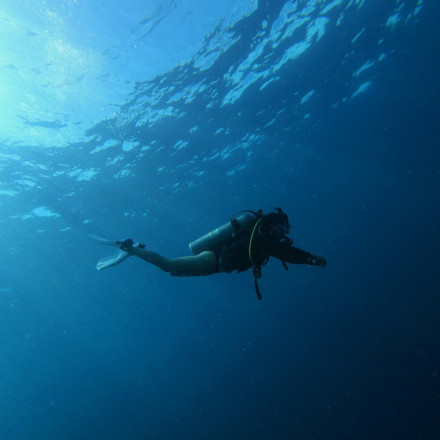 Καταδυτική εκδρομή κατέληξε σε τραγωδία - 1 νεκρός και 17 διασωθέντες τουρίστες