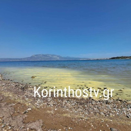 Βάφτηκε κίτρινη η θάλασσα στην Κόρινθο - Ανάστατοι οι κάτοικοι - Τι συνέβη