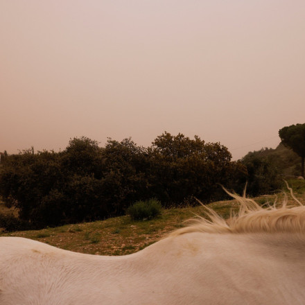 Συναγερμός στην Ευρώπη: Έρχεται «εξαιρετικά έντονο» σύννεφο σκόνης από τη Σαχάρα