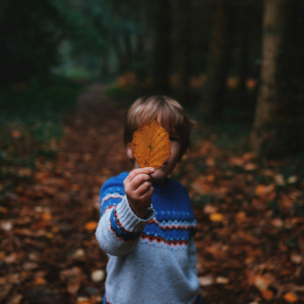 Σοκ στη Χαλκίδα: Χειροπέδες σε 11χρονο που φέρεται να βίασε 7χρονο