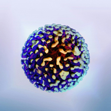 Αυτός ο ιός μπορεί να προκαλέσει 3.500 θανάτους ημερησίως - Συναγερμός στον ΠΟΥ