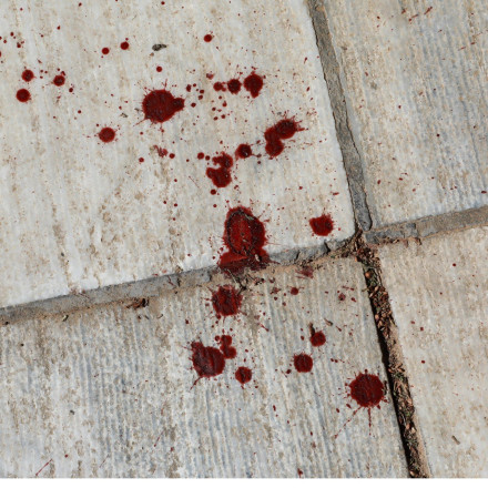 Φονικό στο Μαρούσι: Ανθρωποκυνηγητό για τη σύλληψη του δράστη