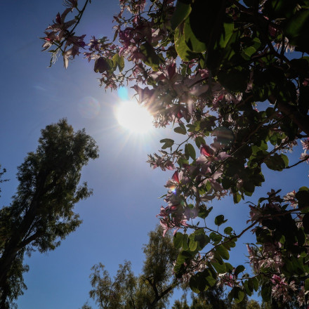 Αλλάζει ξανά το σκηνικό