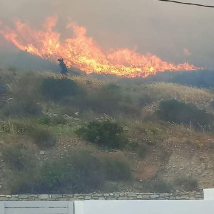Τρεις συλλήψεις για τη φωτιά στην Πάρο
