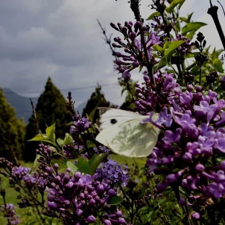 Με τι καιρό θα κάνουμε Μεγάλη Εβδομάδα και Πάσχα - Οι πρώτες εκτιμήσεις
