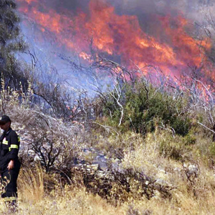 Μεγάλη φωτιά στην Αργολίδα: Ισχυρή κινητοποίηση της Πυροσβεστικής