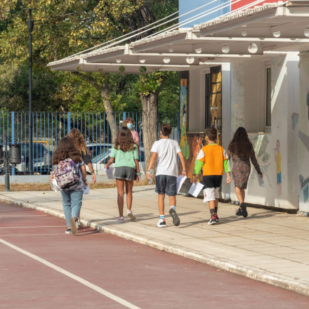 Πικροδάφνη: Το «θανάσιμο» φυτό στις σχολικές αυλές - Η επείγουσα εγκύκλιος του ΕΟΔΥ