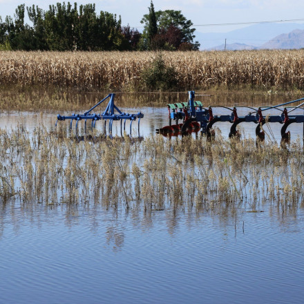 ΕΛΓΑ: Νέες πληρωμές σε αγρότες για αποζημιώσεις του 2023