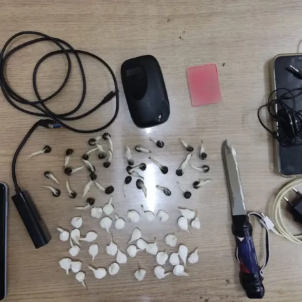 Έφοδος σε κελιά στις φυλακές Κορυδαλλού – Βρέθηκαν από κοκαΐνη μέχρι WiFi router