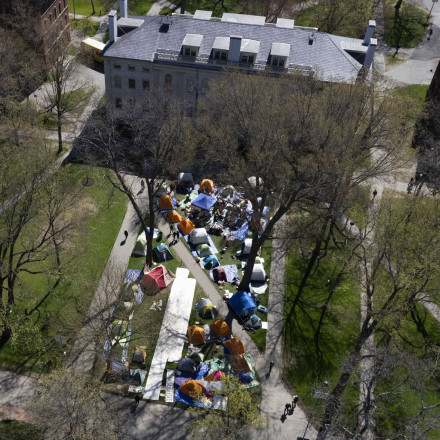 Σάλος στα social: Ψηλά η παλαιστινιακή σημαία αντί της αμερικανικής στο Χάρβαρντ