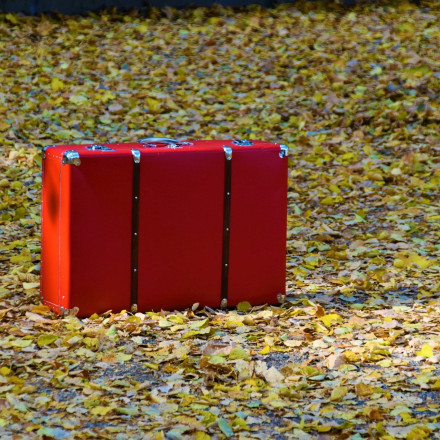 Σιχαίνεστε την αναμονή στο αεροδρόμιο; Τότε πείτε «όχι» στη κόκκινη βαλίτσα