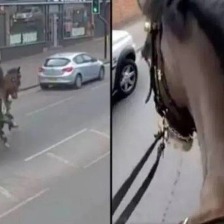 Βρετανία: Αστυνομικοί με άλογα κυνηγούσαν οδηγό επειδή μιλούσε στο τηλέφωνό του