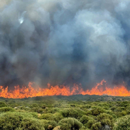 Φωτιές σήμερα: Δύσκολη η κατάσταση στο Βιτάλι της Άνδρου - Η εικόνα σε Έβρο, Βοιωτία και Πάρνηθα