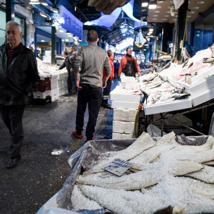Τιμή μπακαλιάρου: «Έκλεισε» από 4,98 ευρώ το κιλό στη Βαρβάκειο ο ξαρμυρισμένος
