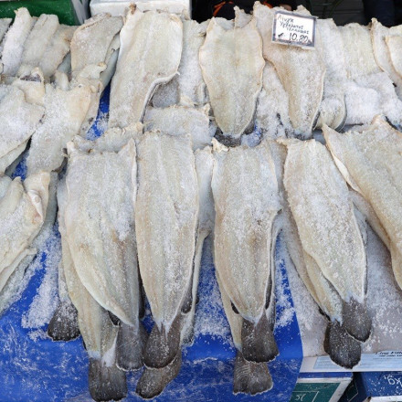 25η Μαρτίου - μπακαλιάρος: Η προτροπή της περιβαλλοντικής οργάνωσης iSea στους καταναλωτές