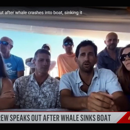 Φάλαινα βύθισε σκάφος και οι επιβαίνοντας πέρασαν εννιά ώρες στον ωκεανό - Σώθηκαν χάρη στο Facebook