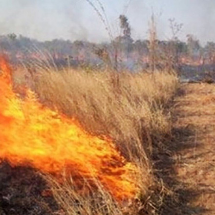 Φωτιά τώρα στην Παλλήνη: Καίει σε χαμηλή βλάστηση