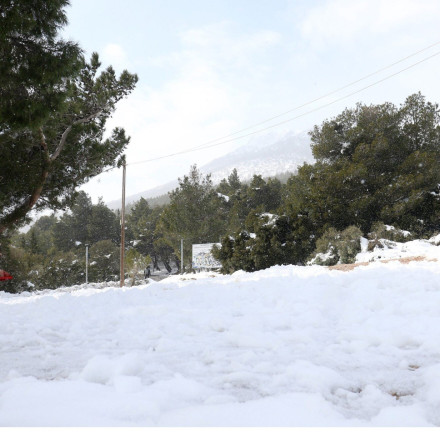 Πάρνηθα: Πυκνό χιόνι στο καταφύγιο Μπάφι – Με αλυσίδες η κίνηση των αυτοκινήτων