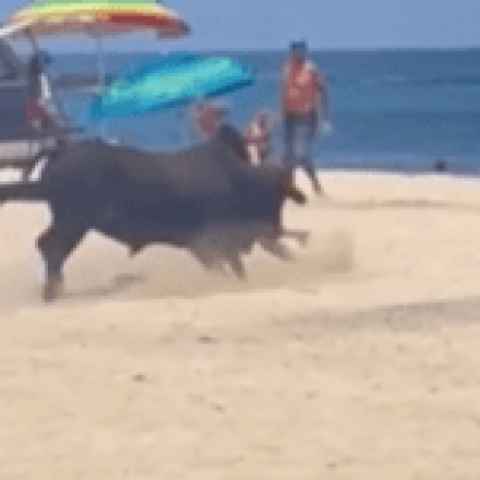 Πανικός σε παραλία του Μεξικό: Η στιγμή που ταύρος επιτίθεται σε τουρίστρια