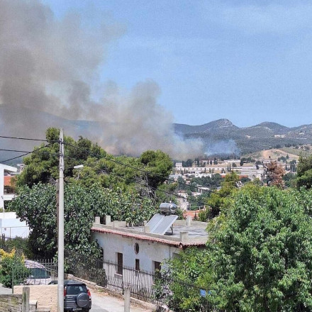 Αφίδνες: Υπό έλεγχο τέθηκε η φωτιά - Άνοιξαν οι δρόμοι για τους οδηγούς