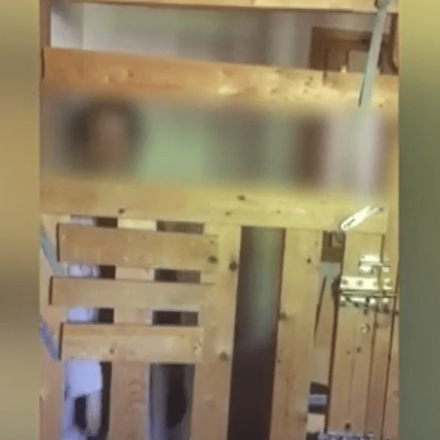 Αυτοψία στο σπίτι της 29χρονης που ζούσε σε κλουβί: Είχε διαγνωστεί από 22 μηνών