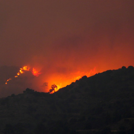 Ολονύχτια μάχη με τις φλόγες στη Πάφο - Έχουν καεί σπίτια και ζώα