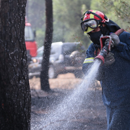 Κακός οιωνός για δασικές πυρκαγιές ο πρόωρος καύσωνας - Πυρομετεωρολόγος εξηγεί στο Flash.gr
