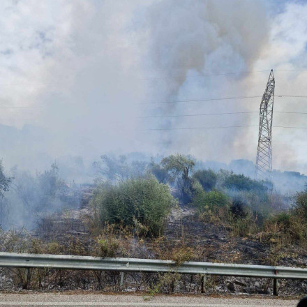 Φωτιά στην Αμφιλοχία - Κινητοποίηση με εναέρια μέσα